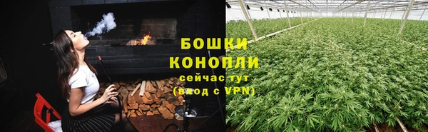 прущая мука Вяземский