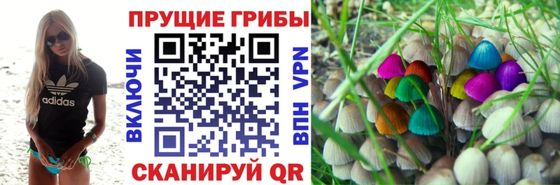 мориарти как зайти  Заводоуковск  Псилоцибиновые грибы мухоморы 