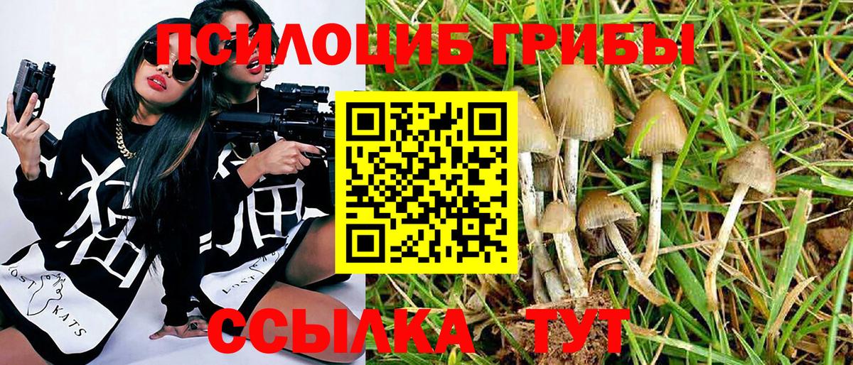 Галлюциногенные грибы Psilocybe  Вход с VPN  Псилоцибиновые грибы ЛСД  продажа наркотиков  Заводоуковск 